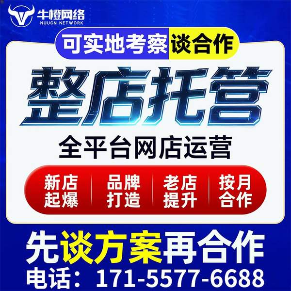 辽阳电商代运营