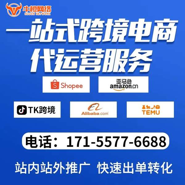 辽阳电商代运营