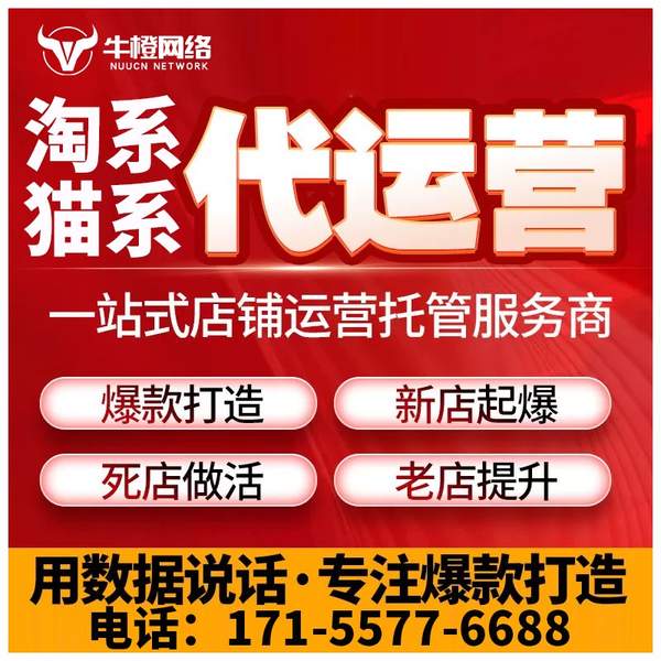辽阳电商代运营